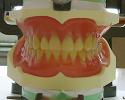 ����W�������`���i�_�炩�����ꎕ�j