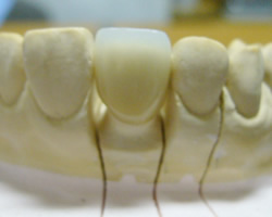 �d�����W���O����