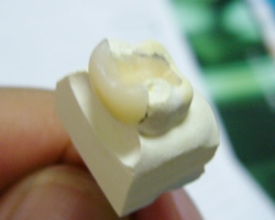 �d�����W���O����